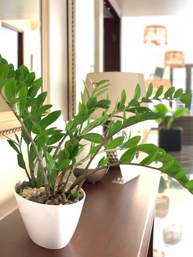 Hotel Mango Airport Рио-Сегундо Экстерьер фото